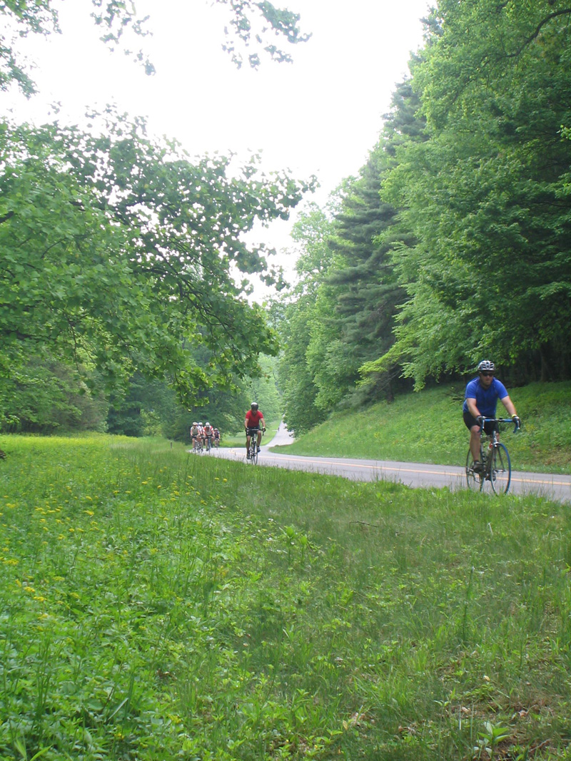 Cyclists approaching Tuggles Gap.